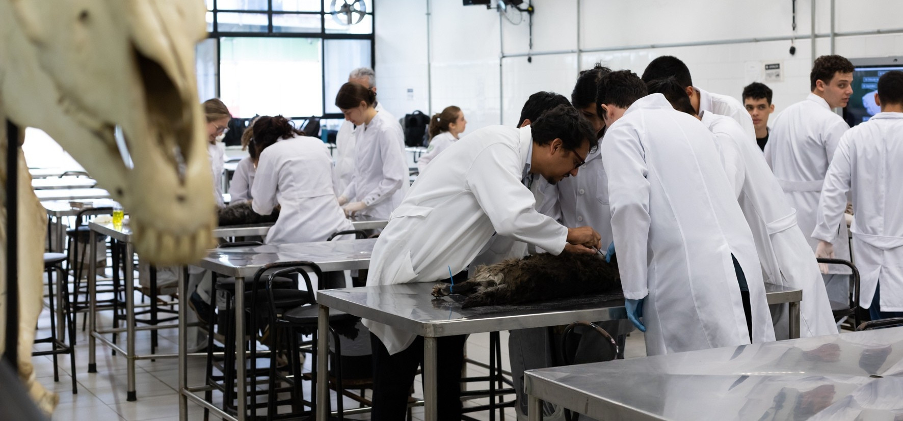 Estudantes de veterinária em aula prática de anatomia no laboratório do PPG-AVCT